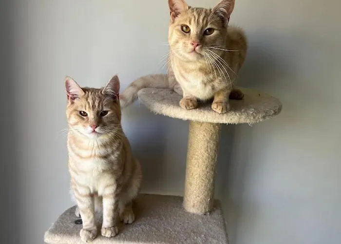 Проживание в семье Private And Ensuite In